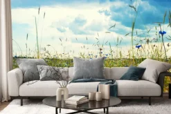 Fototapeta: Chabry i stokrotki na polnej łące