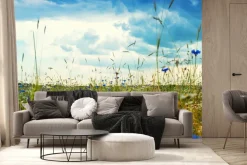 Fototapeta: Chabry i stokrotki na polnej łące