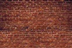 Fototapeta: Ściana z czerwonej cegły