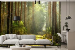 Fototapeta: Ścieżka w słonecznym lesie