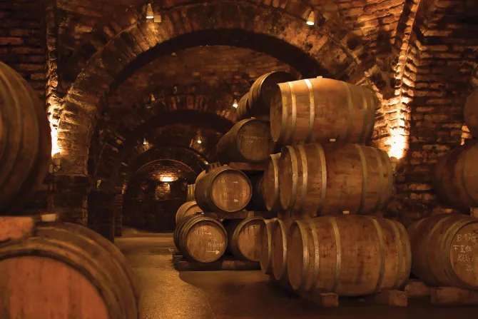 Fototapeta: Ciemna piwnica z beczkami