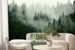 Fototapeta: Ciemnozielony las iglasty we mgle