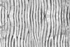 Fototapeta: Cienkie paski na jasnym tle