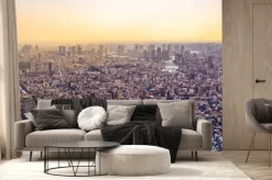 Fototapeta: Citiscape tokio o zachodzie słońca, japonia