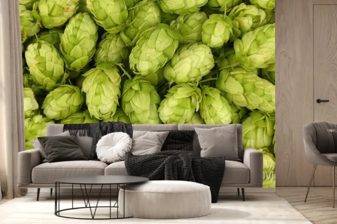 Fototapeta: Close up background of fresh green beer hops