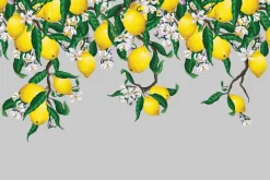 Fototapeta: Cytryny otoczone kwiatami i liśćmi