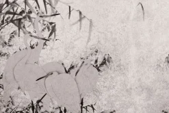 Fototapeta: Czaple i bambus na tle z delikatną teksturą