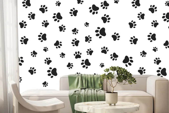 Fototapeta: Czarne łapy psów na białym tle