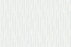 Fototapeta: Czarno-białe paski wzór zebry