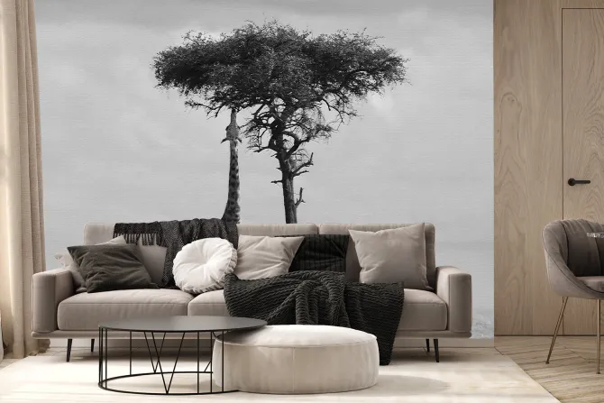 Fototapeta: Czarno-białe safari z drzewem i żyrafą