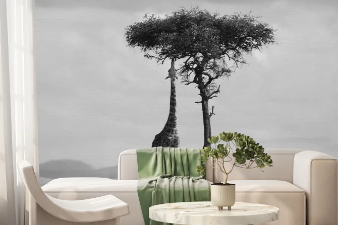 Fototapeta: Czarno-białe safari z drzewem i żyrafą