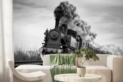 Fototapeta: Czarno-białe zdjęcie jadącego pociągu parowego