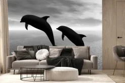 Fototapeta: Czarno-białe zdjęcie delfinów na tle wody
