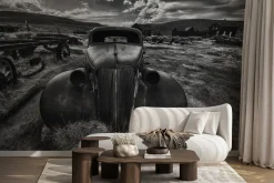 Fototapeta: Czarno-białe zdjęcie wraku samochodu