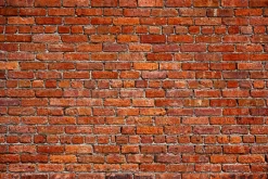 Fototapeta: Czerwony mur z cegły