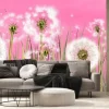 Fototapeta: 3d mural interior wallpaper for girl.many dandelions on light