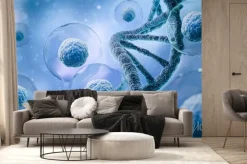 Fototapeta: 3d rendering of human cell or embryonic stem cell microscope