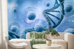 Fototapeta: 3d rendering of human cell or embryonic stem cell microscope