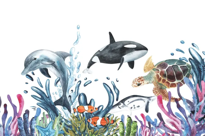 Fototapeta: Delfin i żółw wodny wśród rafy na białym tle