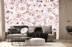 Fototapeta: Delicate blossoming roses, blooming flowers festive background,