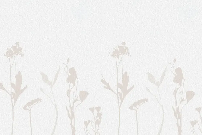 Fototapeta: Delikatne kwiaty polne w stylu minimalistycznym