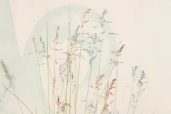 Fototapeta: Delikatne polne trawy na jasnym tle