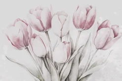 Fototapeta: Delikatne różowe tulipany