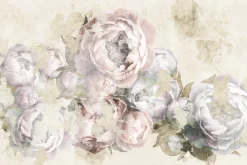 Fototapeta: Delikatne różowe kwiaty piwonii