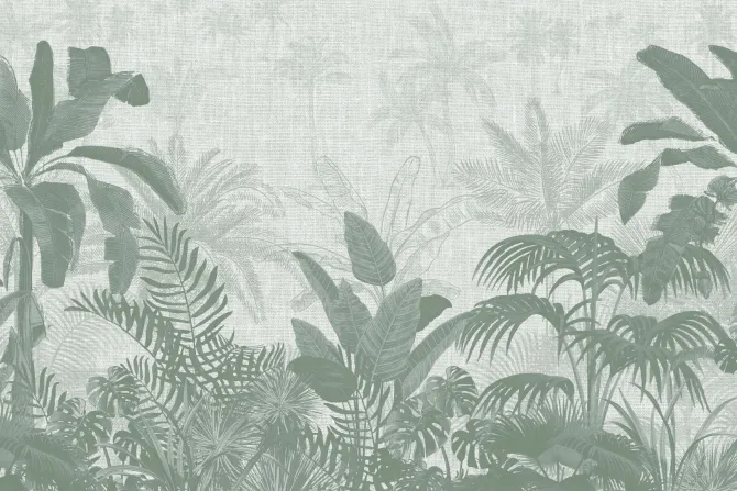 Fototapeta: Delikatne zielone palmy i egzotyczne liście