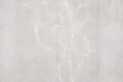 Fototapeta: Delikatny szkic morskich meduz