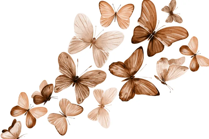 Fototapeta: Delikatny wzór z motylami w stylu akwareli na jasnym tle