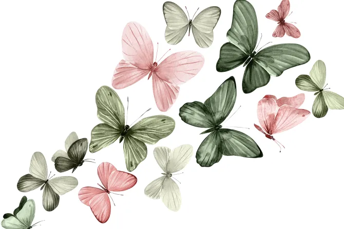 Fototapeta: Delikatny wzór z motylami w stylu akwareli na jasnym tle