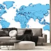 Fototapeta: Detail world map with national borders, 3d render