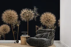 Fototapeta: Dmuchawce widziane z bliska