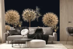 Fototapeta: Dmuchawce widziane z bliska