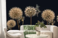 Fototapeta: Dmuchawce widziane z bliska