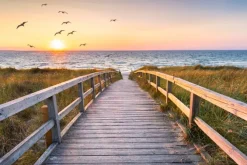 Fototapeta: Drewniany most i ptaki na tle zachodu słońca nad morzem