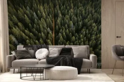 Fototapeta: Drone view of coniferous forest