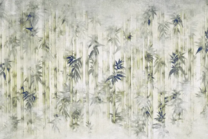 Fototapeta: Drzewa bambusa z liśćmi we mgle