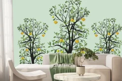 Fototapeta: Drzewa cytrynowe z zielonymi liśćmi