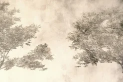 Fototapeta: Drzewa liściaste natura w stylu vintage