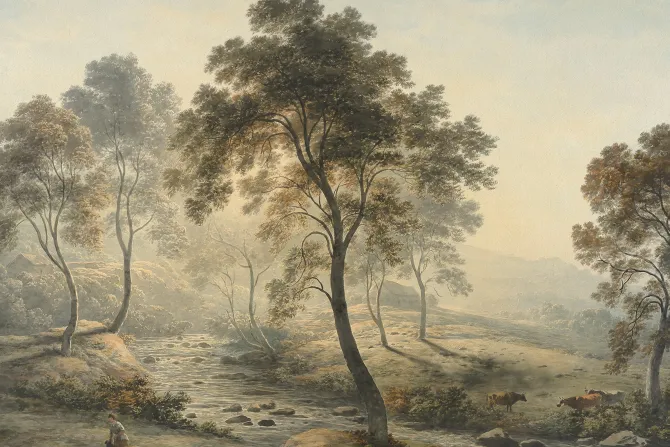 Fototapeta: Drzewa liściaste wśród rzeki i zwierząt