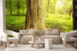 Fototapeta: Drzewo w zielonym lesie w słoneczny dzień