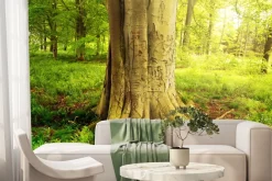 Fototapeta: Drzewo w zielonym lesie w słoneczny dzień