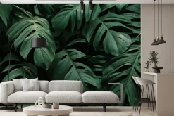 Fototapeta: Duże liście monstery na ciemnym tle