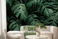 Fototapeta: Duże liście monstery na ciemnym tle