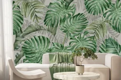 Fototapeta: Duże liście monstery