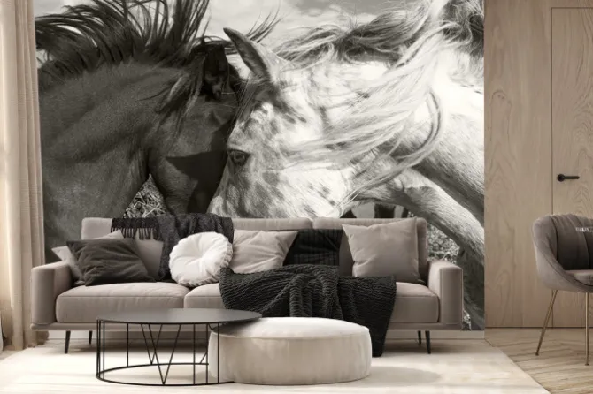 Fototapeta: Dwa konie ujęcie w sepii