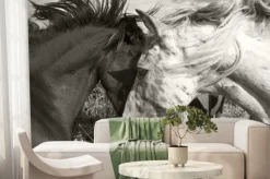 Fototapeta: Dwa konie ujęcie w sepii