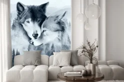 Fototapeta: Dwa wilki na tle lasu